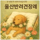 이별공간 | 울산반려견장례 합법 장례만 진행하는 포항 인근 이별공간, 후기와 정보 정리