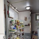 안면읍사무소 | 안면도 푸른섬캠핑장 솔직후기 🏕 가족단위엔 추천, 조용한 감성캠핑은 비추