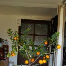 운호농장 이미지