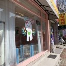늘사랑 애견미용실 네이버블로그