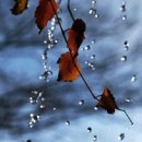 고향부동산중개사무소 이미지