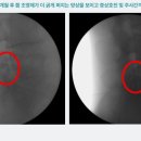 영통단단마디의원 이미지