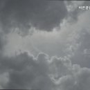 바른클린강북지사