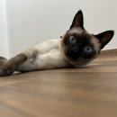 유온민박