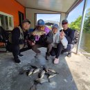 성호낚시터 이미지