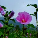 수도국산 달동네박물관 이미지