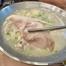 산호동291 | 마산양덕동맛집 언양닭칼국수 nc파크 근처 해장하기 좋은 밥집