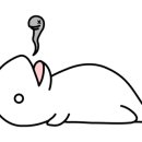 도이빠렙타일