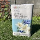 라벤더&바닐라