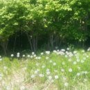 우산공원1 이미지