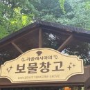 11620-전10-42-9 | 포켓몬 30주년 메가페스타 서울숲 포켓몬 시크릿 포레스트 주말 웨이팅 다녀온 후기