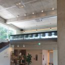 멜로우 나인 이미지