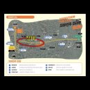 [자유민주마라톤] 10km 후기 - 김포러닝, 김포마라톤
