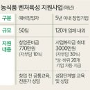 미래그린시장 이미지