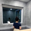 스테이 인동 이미지