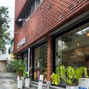 봉수로가로수 이미지