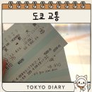 Bullet Train | 도쿄에서 오사카 신칸센 타는 법! 예약부터 후기, 꿀팁까지 총정리