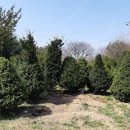 덕정농장3 이미지