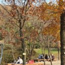 생태공원편의점 이미지