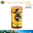 헬시리프