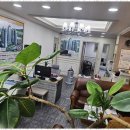 부산스타공인중개사사무소 이미지