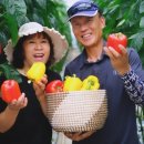 원주농장 이미지