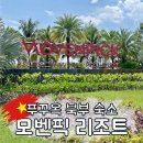 초코렛 | 푸꾸옥 북부 숙소 추천, 모벤픽 리조트 조식, 초코렛 파티, 룸컨디션 후기