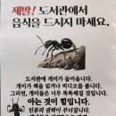 헌터헌터 본 사람은 웃음이 안나오는 짤 이미지