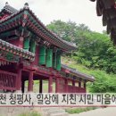 한국여행전문가들