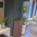 해궁참치 이미지