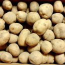 아유란농원 이미지