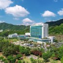 강원특별자치도 교통약자 광역이동지원센터 노컷뉴스