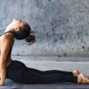 빈야사 & 전신 요가 이미지