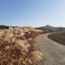 도야마을회관 이미지