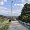 광판순두부 이미지