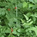 석수역1번출구 앞 이미지