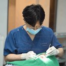 이편한세상치과의원(강서점) 이미지