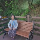 소나무황토집 이미지