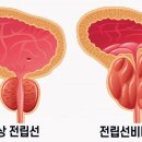 탑비뇨기과