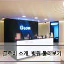 글로비성형 네이버블로그