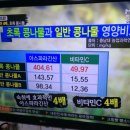 초록콩나물효능과 만드는법 이미지