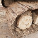 판이농장 이미지