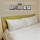 시드니호텔 | 제주도 애월 가성비 혼자 숙소 추천 시드니 호텔 내돈내산 후기