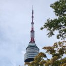 쟈니바 | (250927) 서울 남산/후암동/이태원 쟈니덤플링 방문 후기