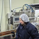 에버그린에버블루협동조합 | 양평 에버그린에버블루협동조합 햇빛순금 생참기름