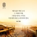 갈라디아서 6:1 – 6:10 사랑으로 완성하는 그리스도의 법 / 빛과소금 이미지