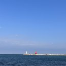 우진그린 이미지