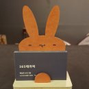 365테라피
