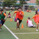 봉래농장 이미지