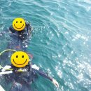 블루오션스킨스쿠버 이미지